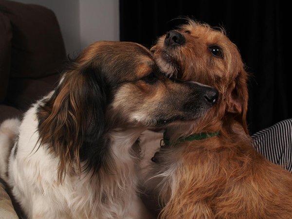 How does grassroots sports development benefit local communities in the UK?